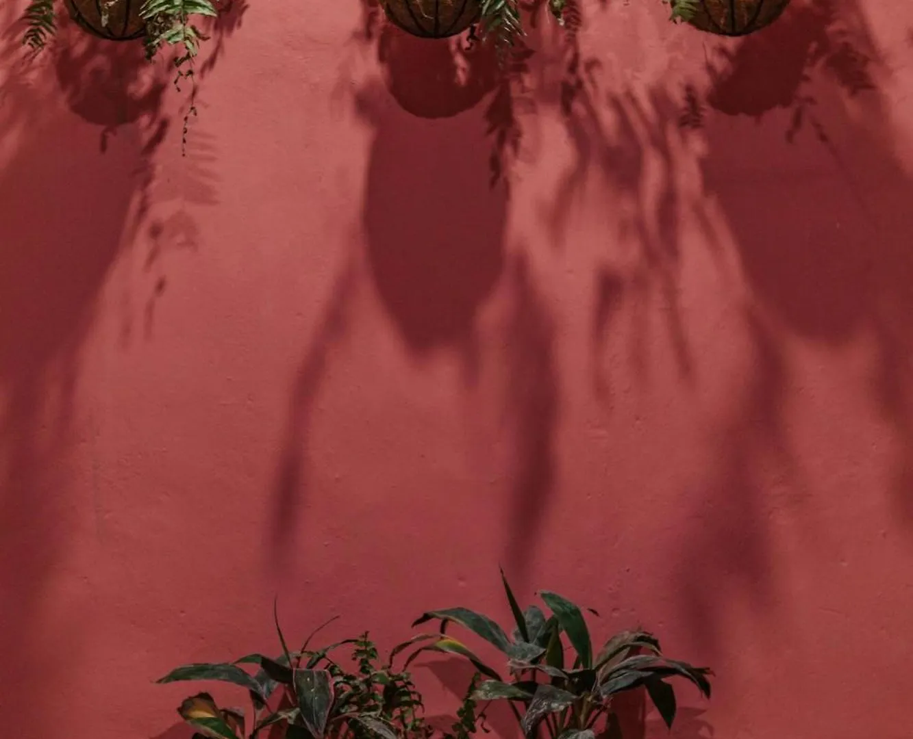 Sam Nah Luxury House In Downtown Merida Holiday home